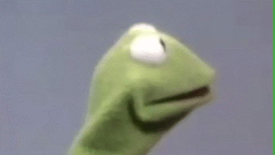Kermit The Frog Wat GIF