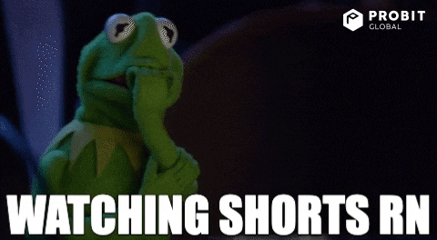 Kermit The Frog Watching Shorts Meme GIF