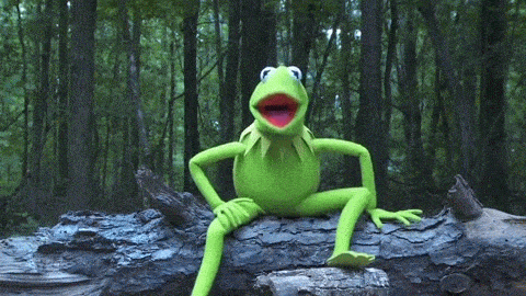 Kermit The Frog Water Doused Meme GIF