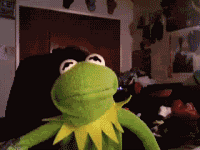 Kermit The Frog Webcam GIF