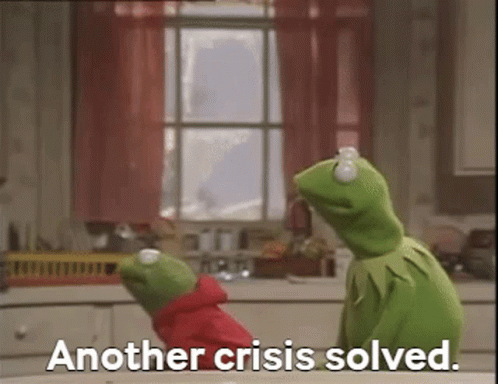 Kermit The Frog With Another Frog In Kitchen GIF