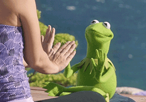 Kermit The Frog Yoga Meditation Meme GIF