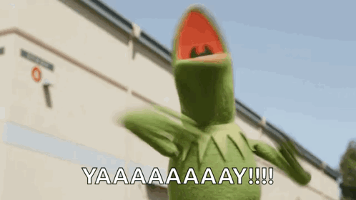 Kermit Yay During Daytime GIF
