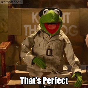 Kermit Yay That's Perfect GIF