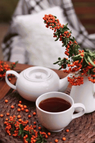 Kettle Animation Red Cup GIF