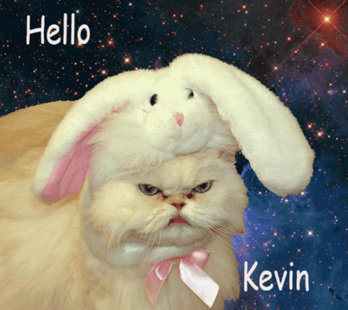 Hello Kevin Angry Space Cat Bunny GIF