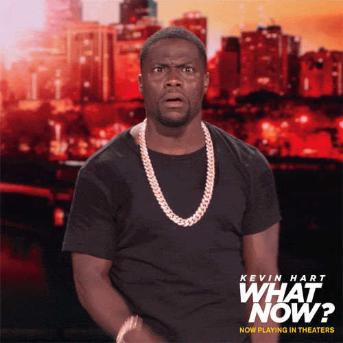 Kevin Hart Damn What GIF