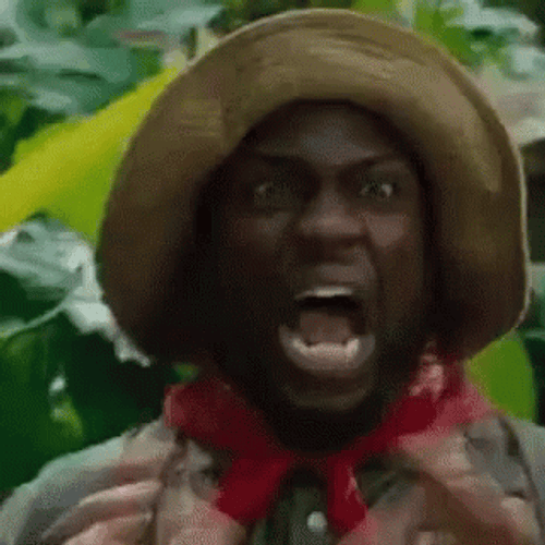 Kevin Hart Shouting Terrified GIF