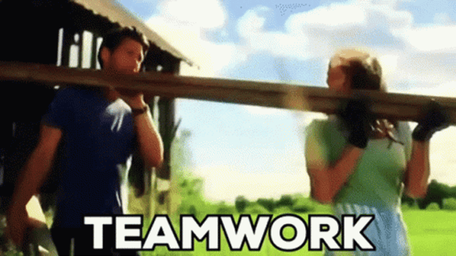 Kevin McGarry Team Work In Carrying Wood GIF