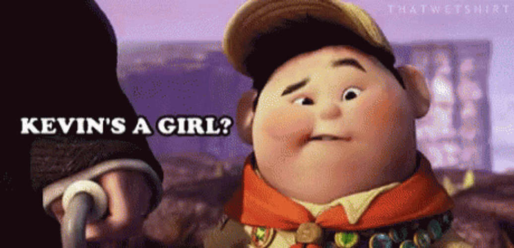Kevin Rusell Boy Scout Pixar Up GIF