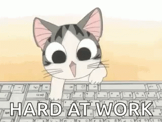 Keyboard Cat Hard At Work GIF