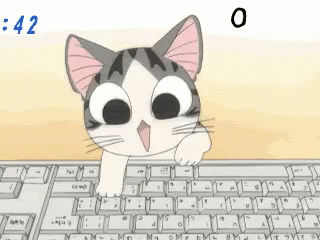 Keyboard Cat Omg Lol GIF