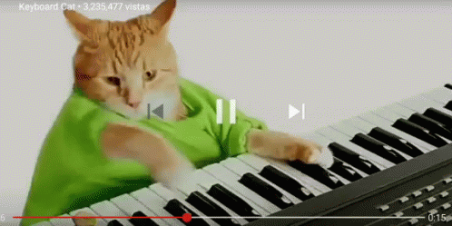 Keyboard Cat 498 X 249 Gif GIF