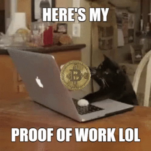 Keyboard Cat Proof Of Work GIF