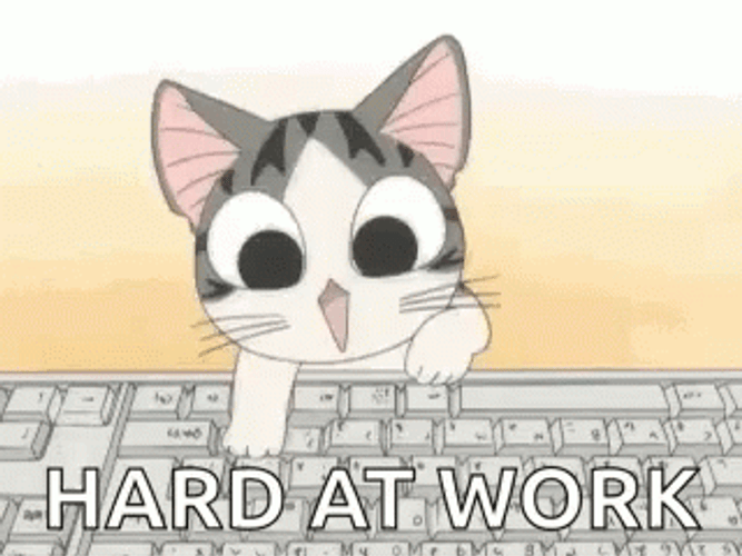 Keyboard Cat Hard At Work GIF
