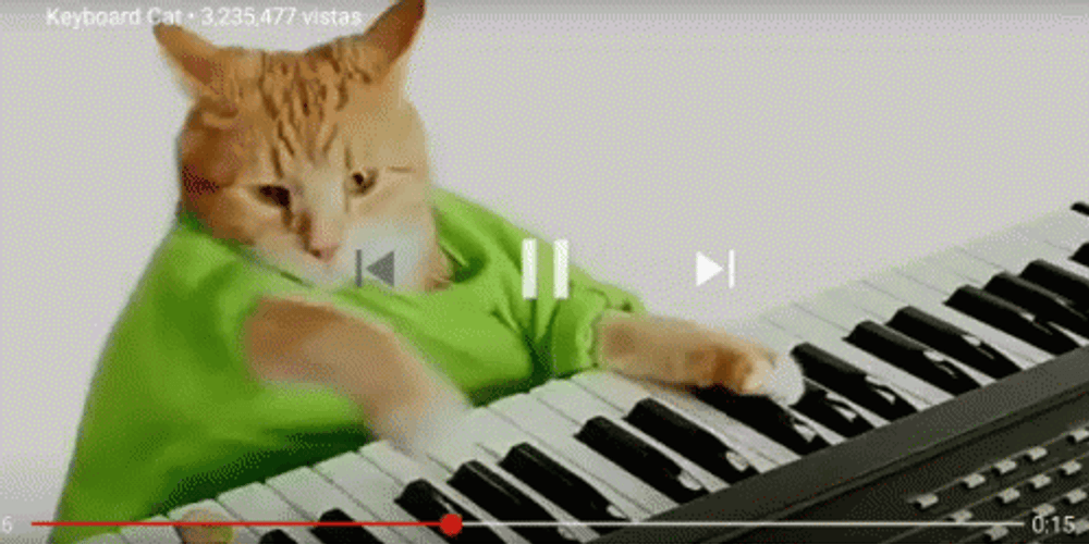 Keyboard Cat GIF