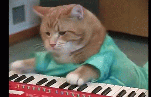 Keyboard Cat Playing Cute GIF