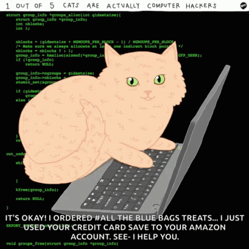 Keyboard Cat Typing Amazon Account GIF