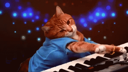 Keyboard Cat With Disco Light GIF