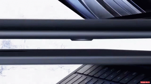 Keyboard With Trunk Fried GIF