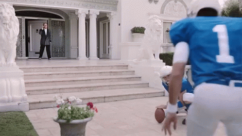 Kick In The Nuts Football Kicker GIF