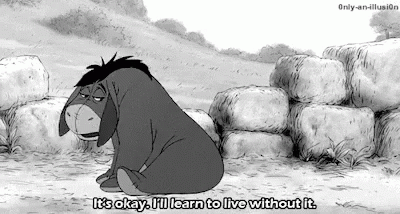 Kick Rocks Depressed Eeyore Winnie The Pooh GIF