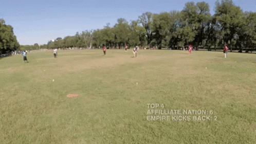 Kickball Game On A Sunny Day GIF
