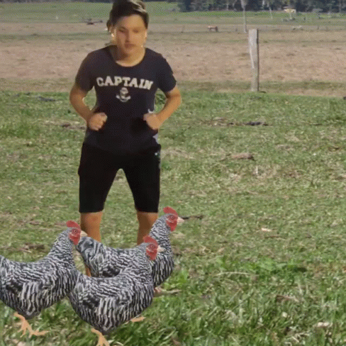 Kid Chasing Chicken Run GIF
