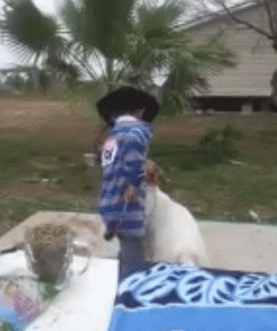 Kid Fail Riding His Funny Goat GIF