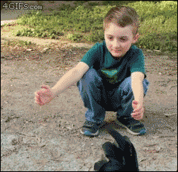 Kid Giving Big Hugs To Chickens GIF