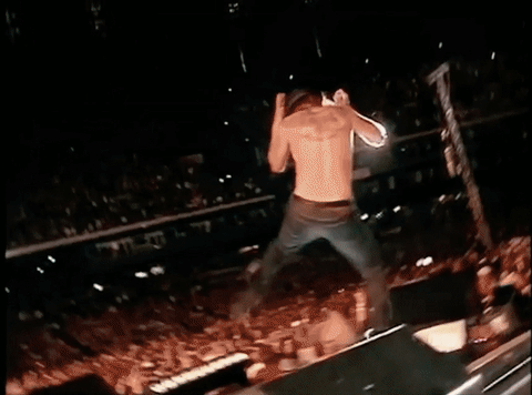 Kid Rock Wild Concert GIF