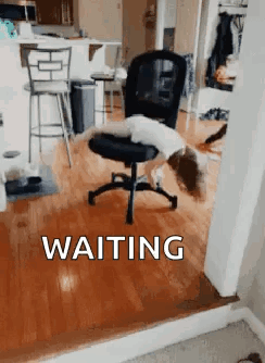 Kid Spins Chair While Waiting GIF