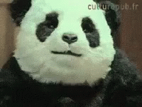 Kids Reaction To An Angry Panda GIF