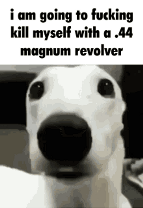 Kill Myself With Magnum Revolver Dog Meme GIF