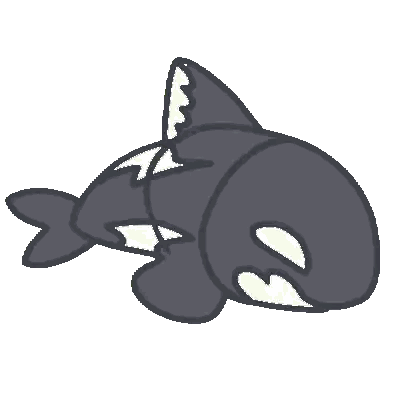 Killer Whale Lying on Back