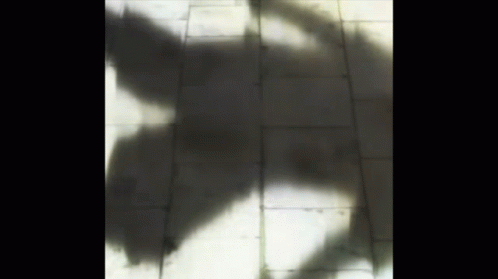 Killua Pfp Skateboarding GIF