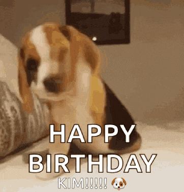 Kim Happy Birthday Gif GIF