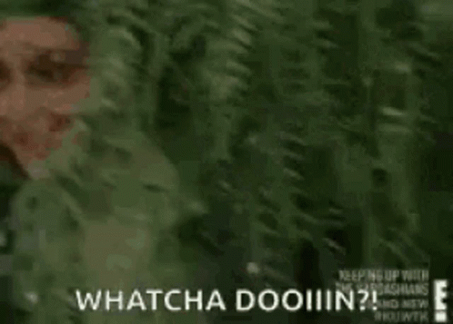 Kim Kardashian Whatcha Doin By The Bushes Hiding Meme GIF