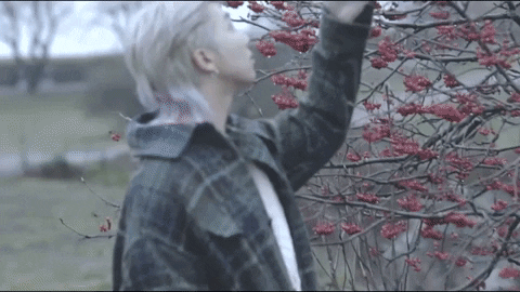 Kim Nam-joon Solo Shots GIF