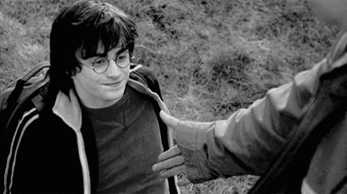 Kindness Cedric Diggory Giving Harry Potter A Hand GIF