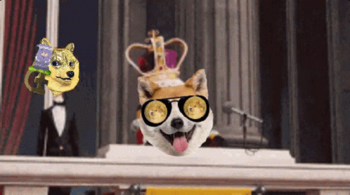 King Bob Doge Coin Face Swap GIF
