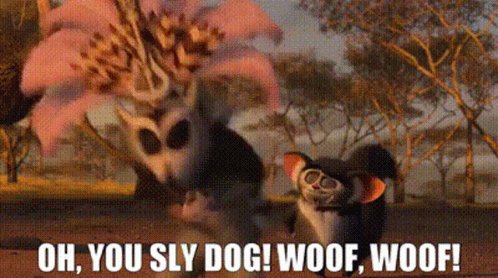 King Julien Oh You Sly Dog GIF
