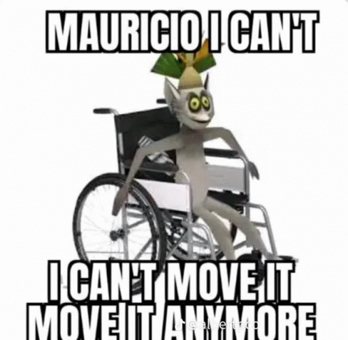 King Julien Sitting On Wheelchair GIF