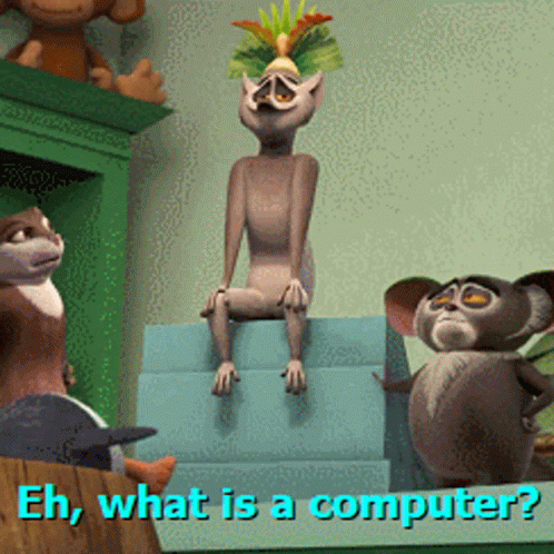 King Julien What Is Computer GIF