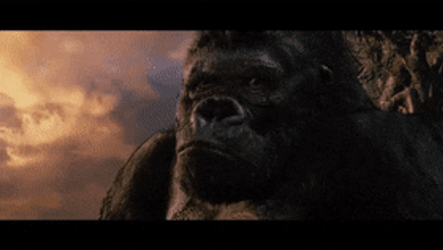 King Kong Calmly Looking At The Sunset GIF