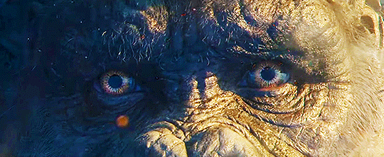 King Kong Eyes Close Up Shot GIF