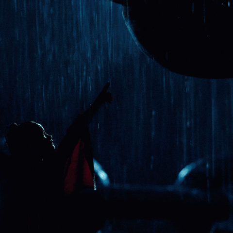 King Kong Massive Nose Boop GIF