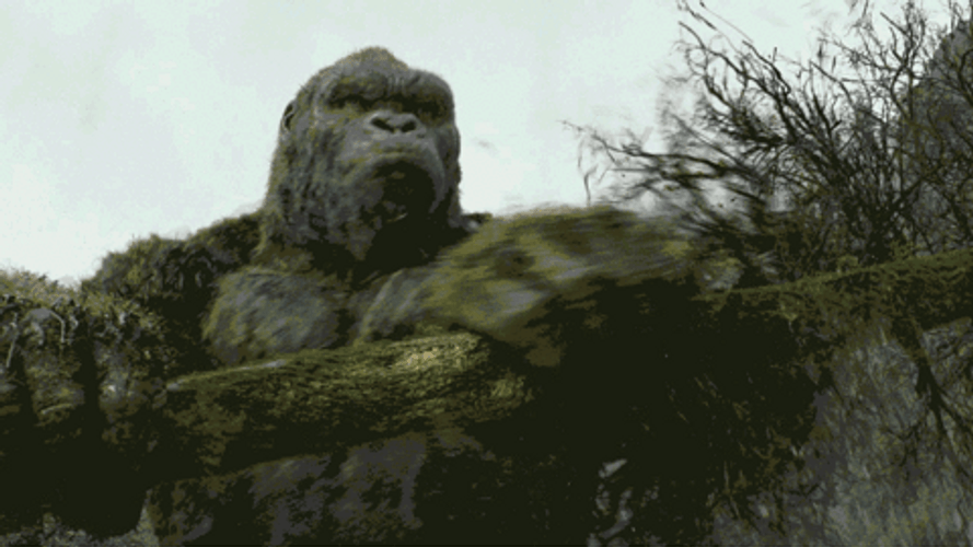 King Kong Preparing Weapon To Fight Monster GIF