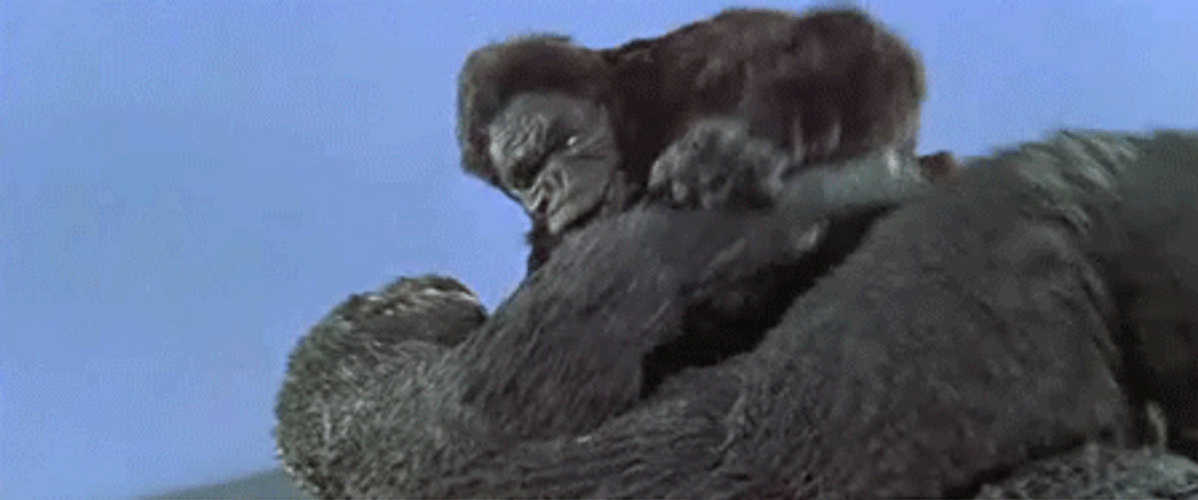 King Kong Wrestling With Godzilla In Classic Movie GIF