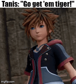 Kingdom Hearts Character Standing